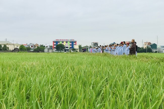 One - Day Retreat at Dong Cao pagoda,  Thanh Hoa