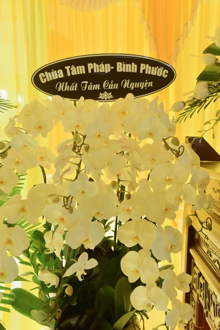 Tang lễ Đại đức Thích Tâm Tùng