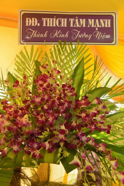 Tang lễ Đại đức Thích Tâm Tùng