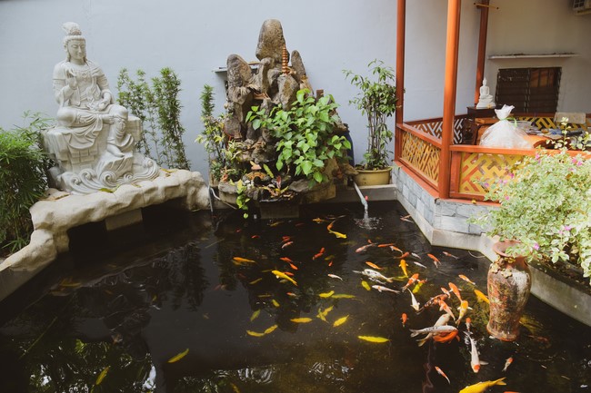 Tang lễ Đại đức Thích Tâm Tùng