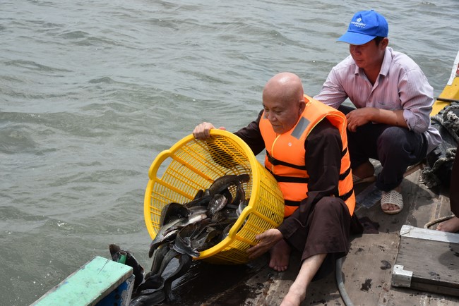 Phóng sanh mừng Đại lễ Phật đản