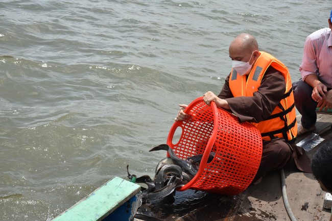 Phóng sanh mừng Đại lễ Phật đản