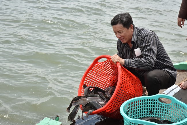 Phóng sanh mừng Đại lễ Phật đản