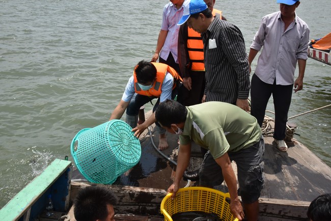 Phóng sanh mừng Đại lễ Phật đản