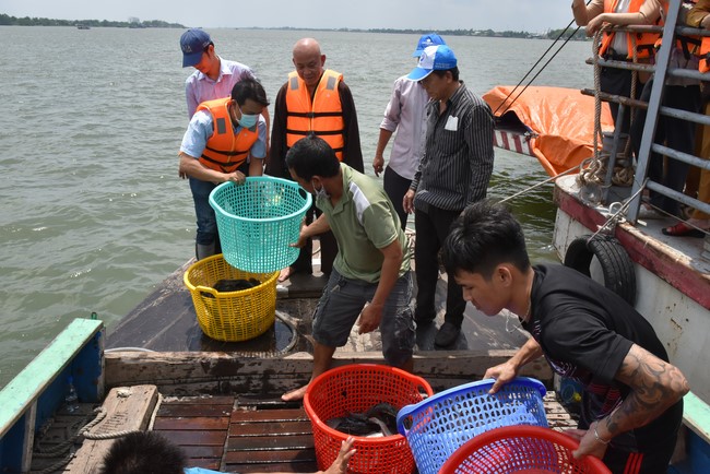 Phóng sanh mừng Đại lễ Phật đản