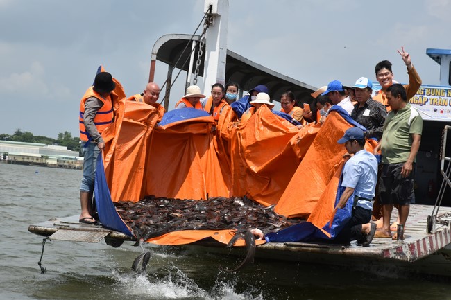 Phóng sanh mừng Đại lễ Phật đản