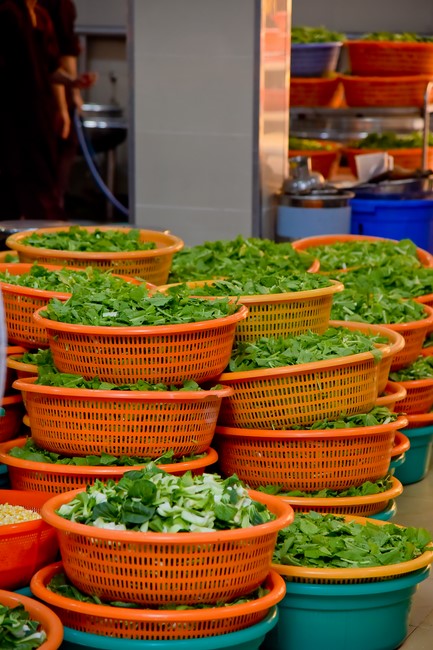 75th  Dharma Light Program