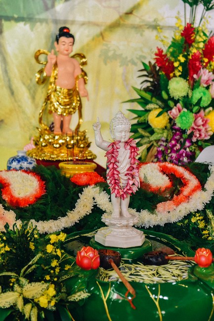 Buddha's Birthday Ceremony at Quang Phap pagoda, Tay Ninh