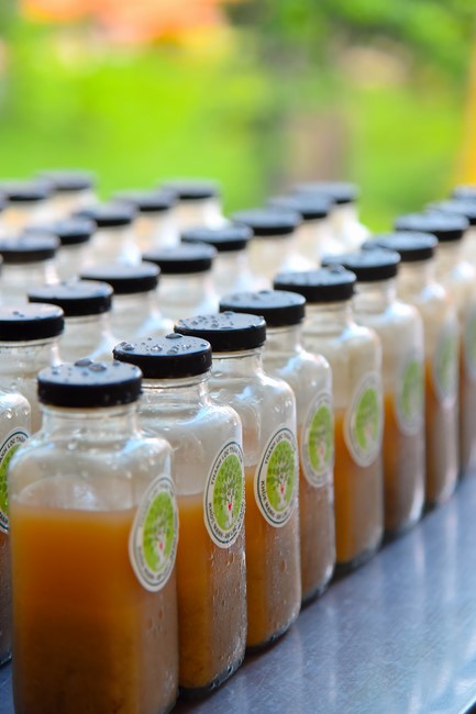 Community program Purification of body- mind, Guiding a healthy living method in accordance with the nature