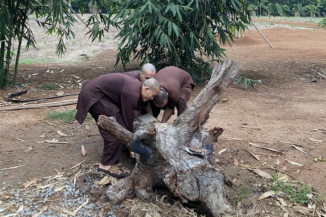Kid Playground at Suoi Phap Pagoda, Tay Ninh