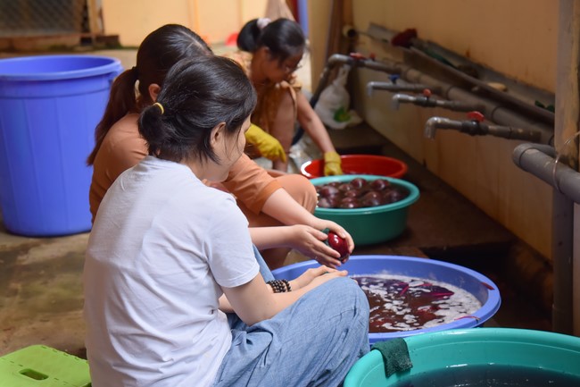 Community program Purification of body- mind, Guiding proactive health care in accordance with the nature