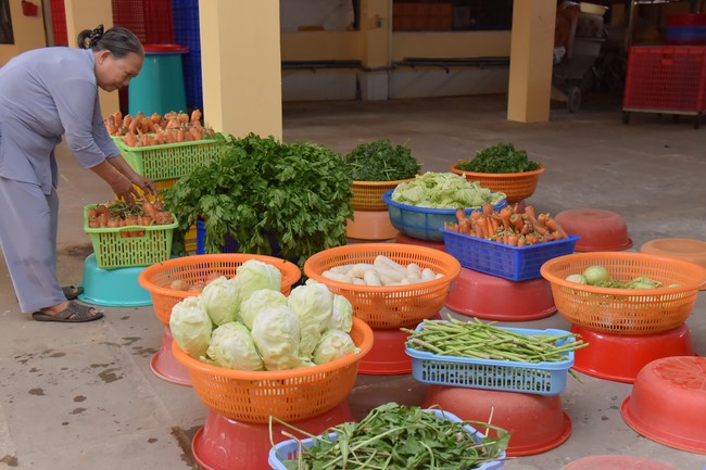 Community program Purification of body- mind, Guiding proactive health care in accordance with the nature