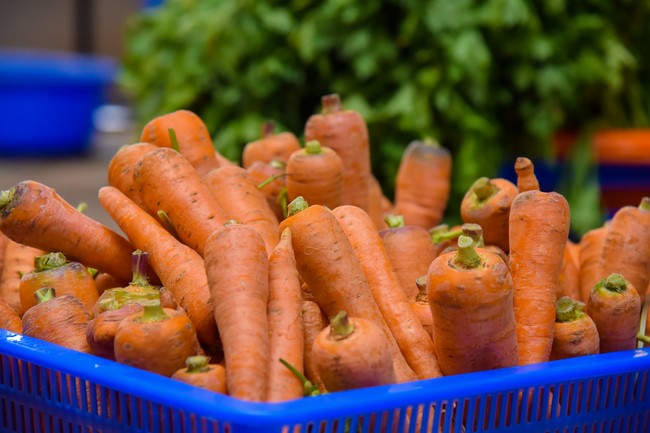 Community program Purification of body- mind, Guiding proactive health care in accordance with the nature