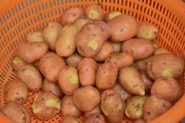 Community program Purification of body- mind, Guiding proactive health care in accordance with the nature