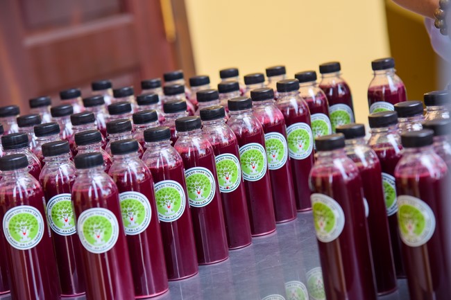 Community program Purification of body- mind, Guiding proactive health care in accordance with the nature