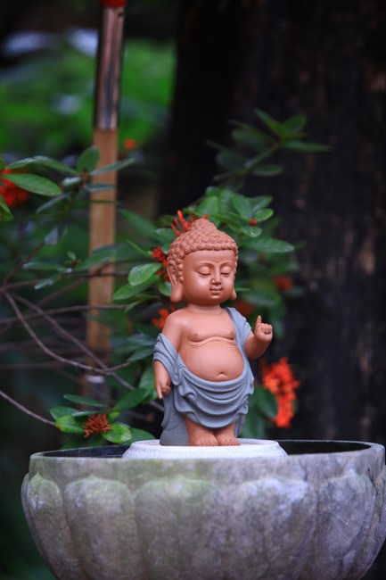 Chùa Hòa Phúc – Hà Nội: Khóa tu tuổi trẻ “Trở về chốn bình yên” 2023