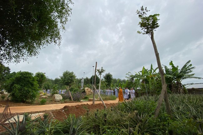 One-Day Peaceful Retreat at Suoi Phap Pagoda
