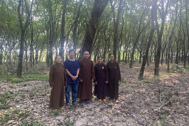 One-Day Peaceful Retreat at Suoi Phap Pagoda