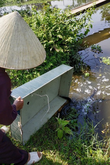 One - Day Practice at Dong Cao pagoda, Thanh Hoa