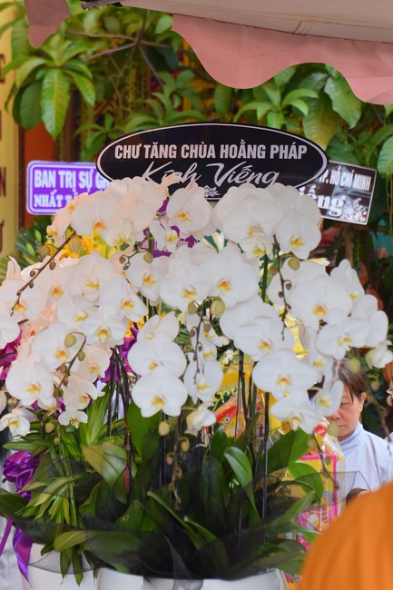 Viếng tang lễ cố Trưởng lão Hòa thượng Thích Thanh Sơn