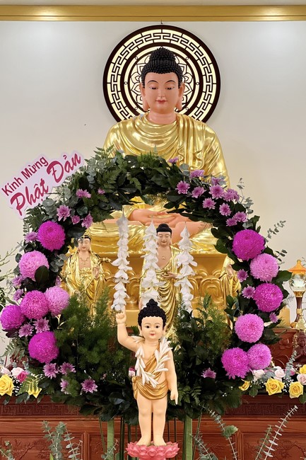 Chùa Tâm Pháp - Bình Phước: Đại Lễ Phật đản (PL.2567 - DL.2023)