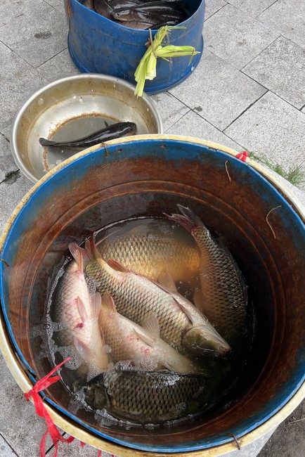 One – Day Retreat and the charity on the 1st day of lunar month at Dong Cao Pagoda