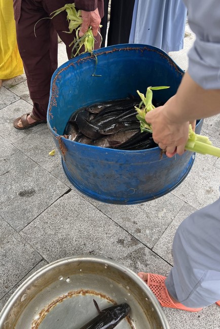 One – Day Retreat and the charity on the 1st day of lunar month at Dong Cao Pagoda