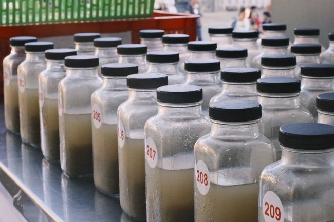 Community program Purification of body- mind, Guiding a healthy living method in accordance with the nature