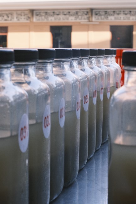 Community program Purification of body- mind, Guiding a healthy living method in accordance with the nature