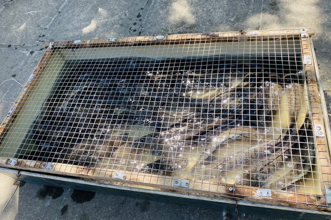 Chùa Đống Cao – Thanh Hóa: Kết khóa Khóa tu “Hướng Về Mùa Phật Đản” và thiện sự ngày rằm