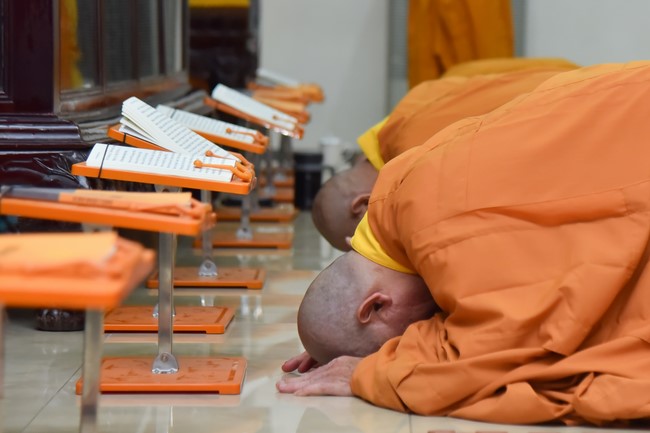 Repentance ceremony on May 30th, Year of the Cat