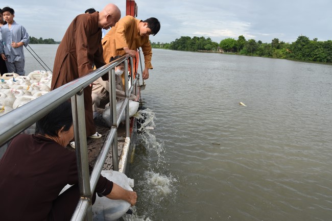 Releasing creatures on the Rain Retreat time