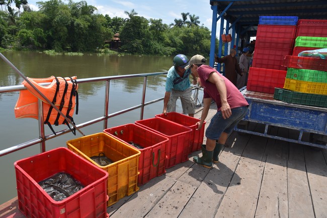 Releasing creatures on the Rain Retreat time