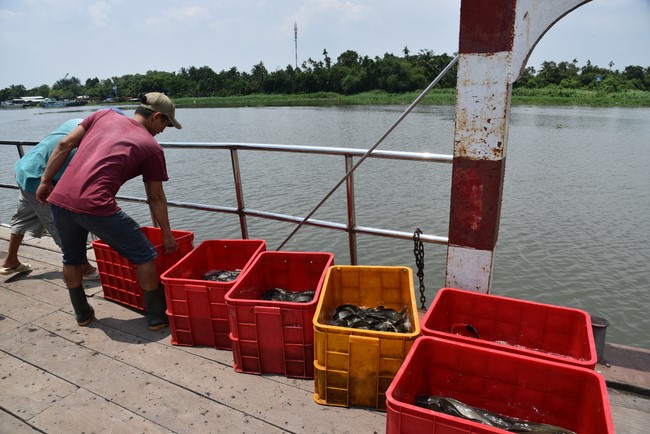 Releasing creatures on the Rain Retreat time