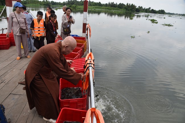 Releasing creatures on the Rain Retreat time