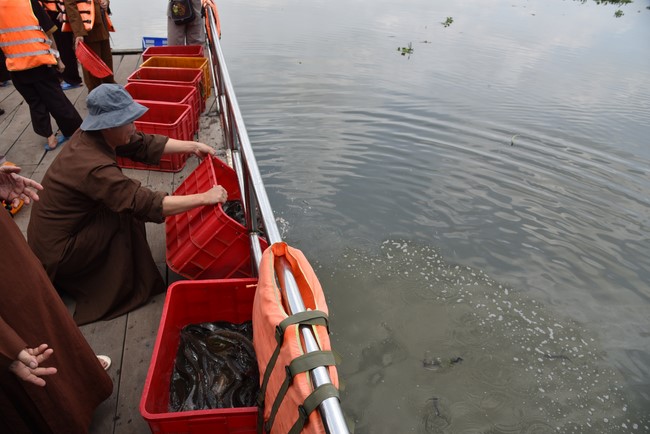 Releasing creatures on the Rain Retreat time