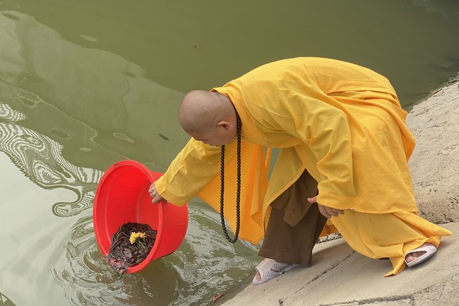 The 1st Retreat The path leading to right direction at Dong Cao Pagoda, Thanh Hoa
