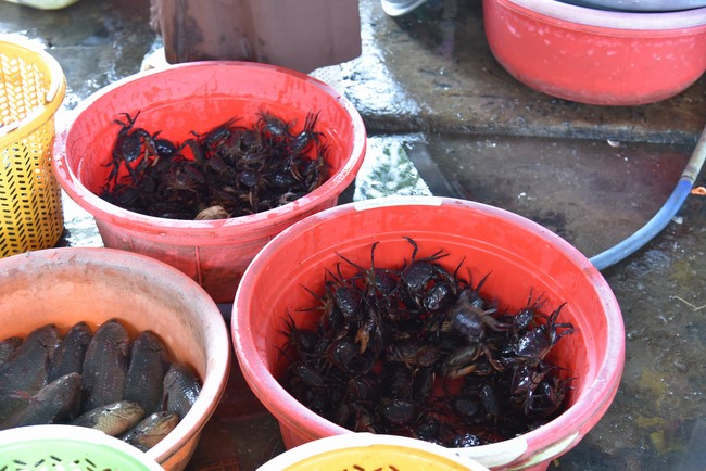 Donating money to build a charity house in Long My, Hau Giang of Charity Board