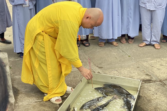 One - Day Practice at Dong Cao pagoda, Thanh Hoa