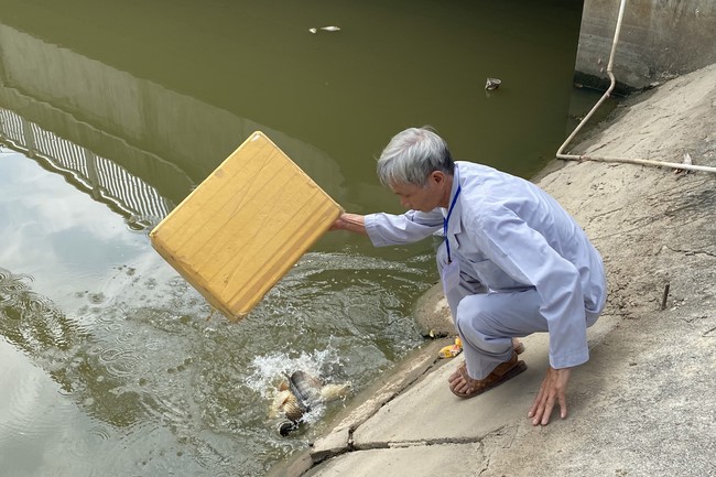 One - Day Practice at Dong Cao pagoda, Thanh Hoa