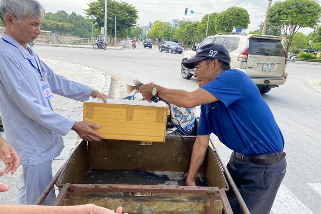 Chùa Đống Cao – Thanh Hóa: Khóa tu niệm Phật một ngày