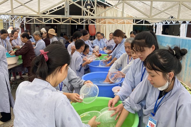One - Day Practice at Dong Cao pagoda, Thanh Hoa