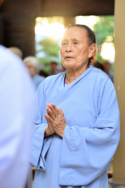 Repentance ceremony on June 29th, Year of the Cat