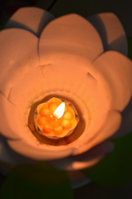 Lễ Vu Lan Báo Hiếu lớp Ươm Mầm Trí Tuệ