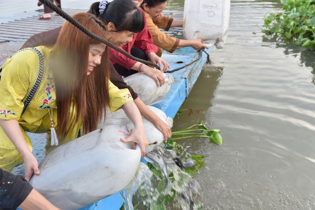 Releasing creatures on the Ullambana season of the Charity Board