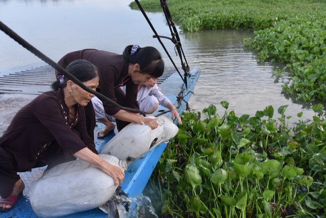 Releasing creatures on the Ullambana season of the Charity Board