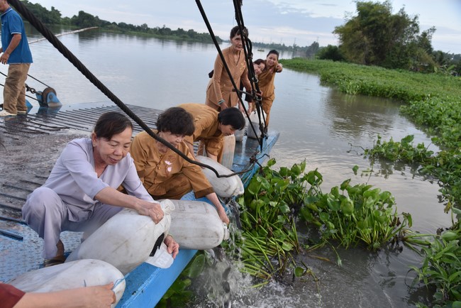Releasing creatures on the Ullambana season of the Charity Board