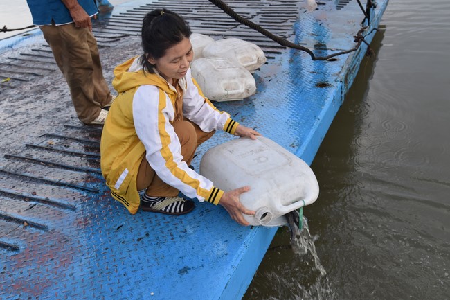 Releasing creatures on the Ullambana season of the Charity Board