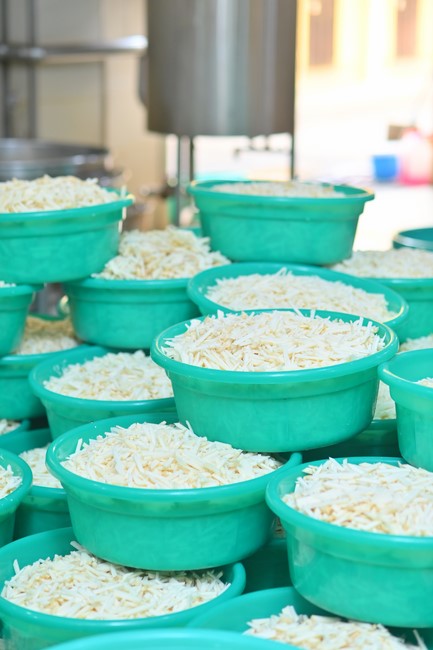 76th Dharma Light Program