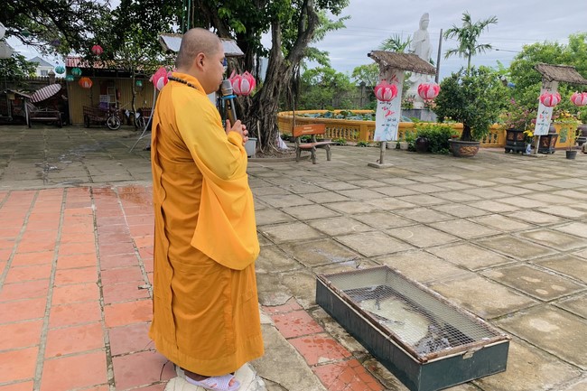 One-day Practice at Dong Cao Pagoda, Thanh Hoa